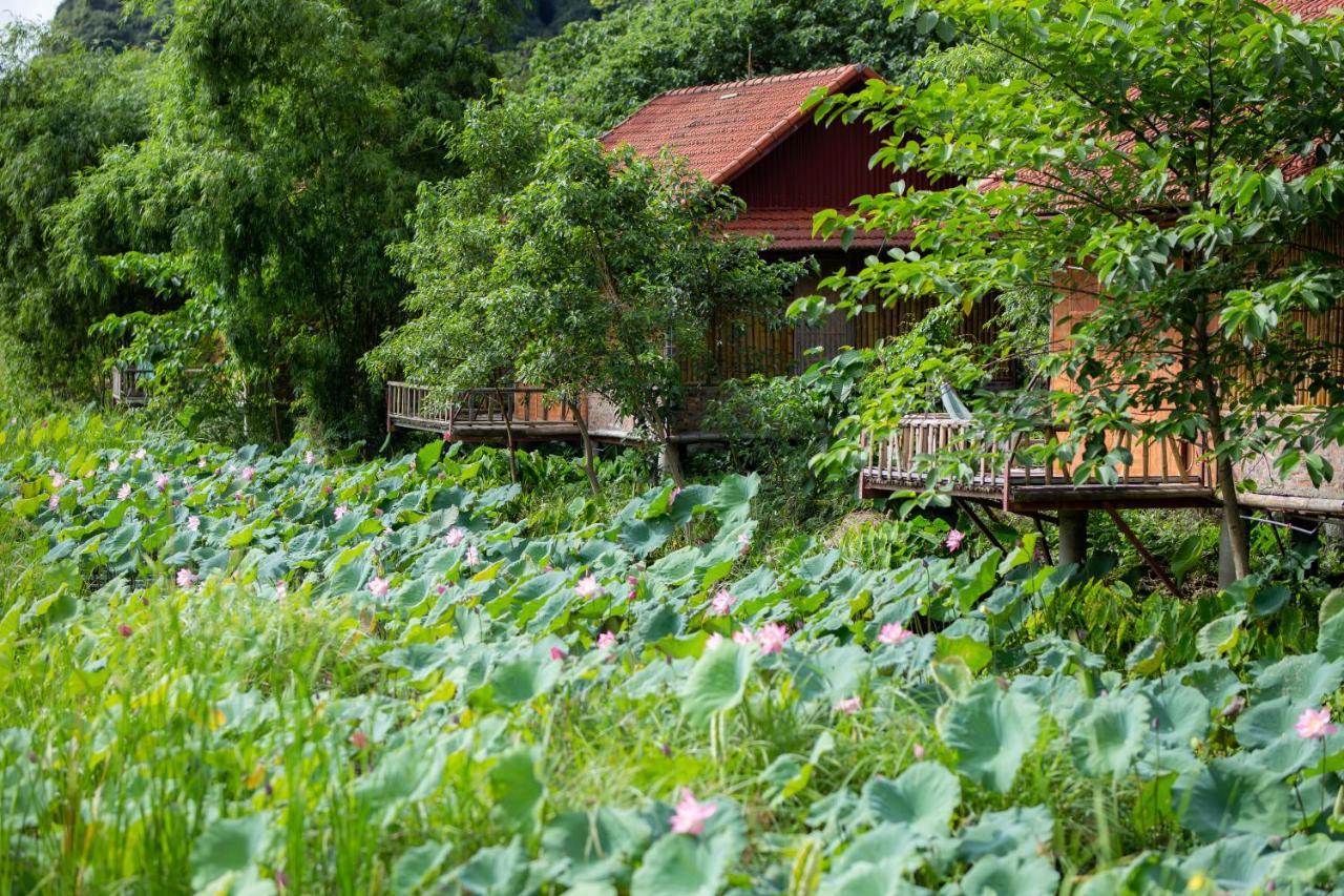 Trang An Tam Gia Trang Resort Ninh Binh Exterior foto